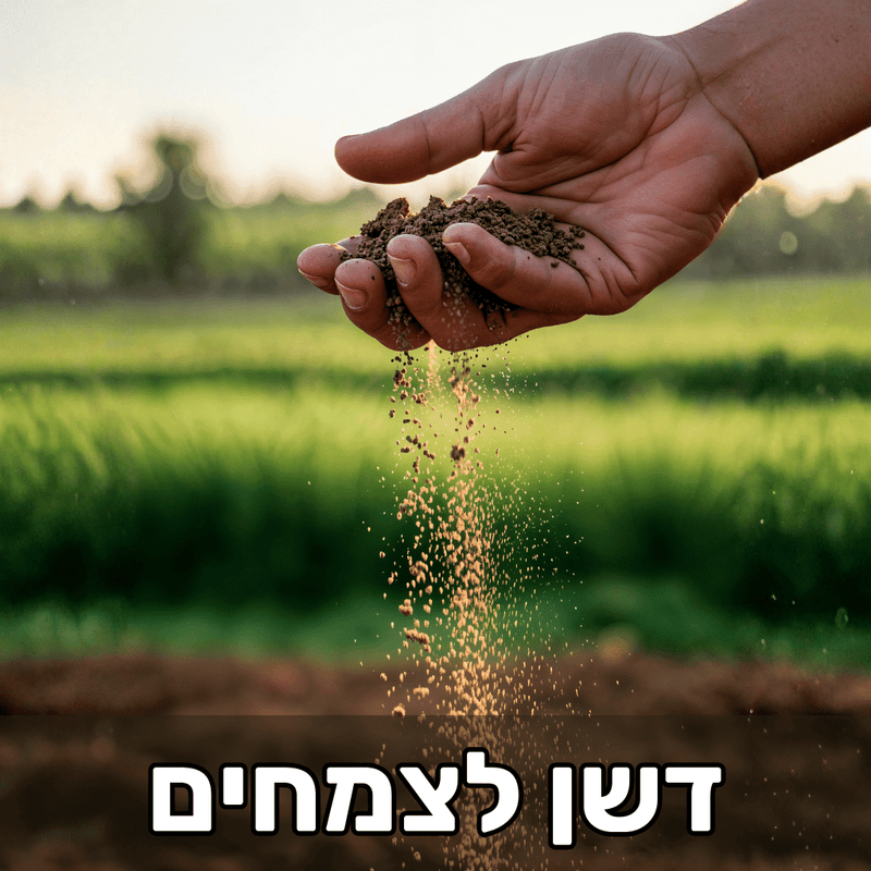 חומרי דישון