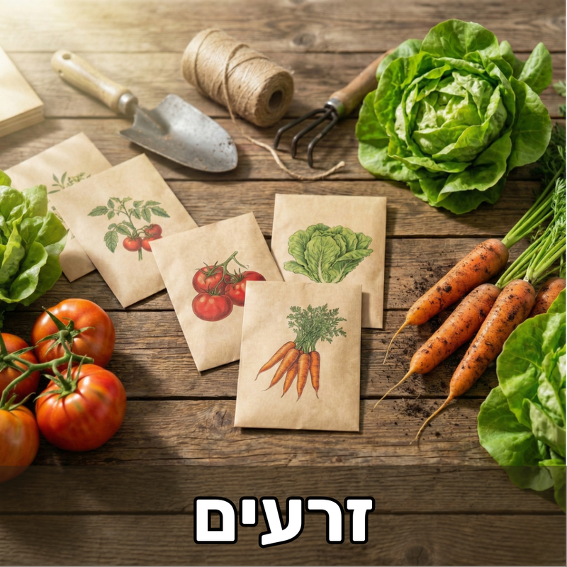 זרעים