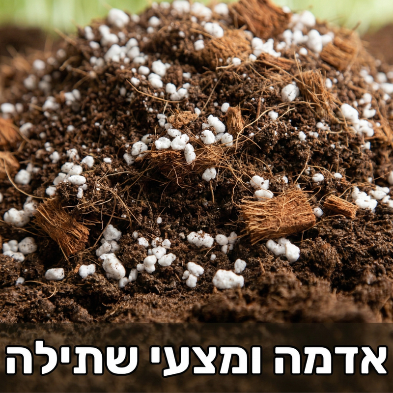 אדמה ומצעי שתילה