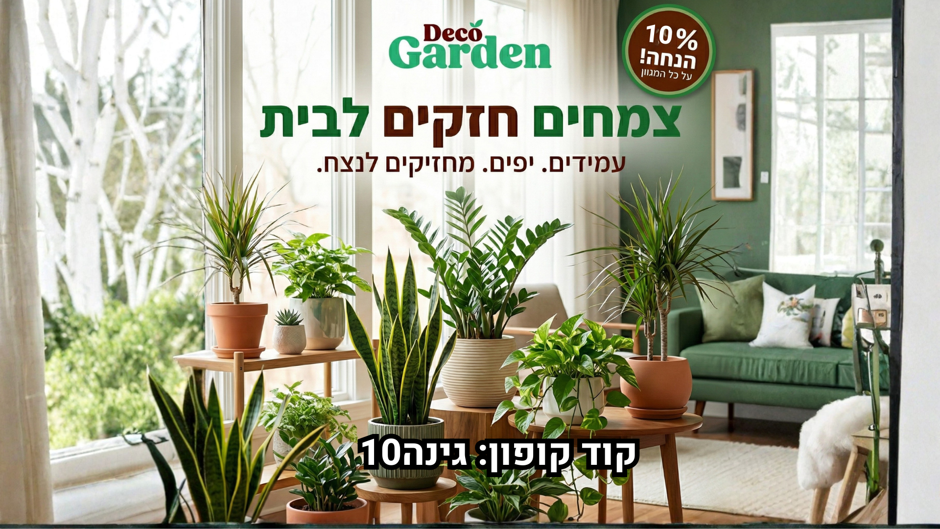 באנר של צמחים חזקים לבית