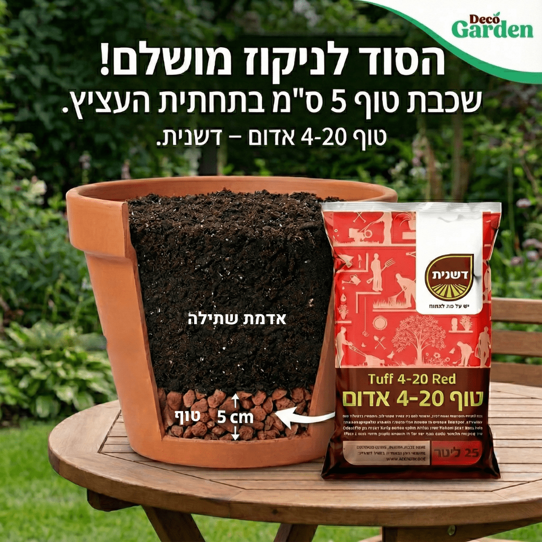 תמונת קריאטיב של טוף אדום ודוגמא איך שמים אותו בעציץ