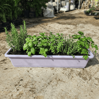 אדנית פלסטיק אורך 90 ס"מ