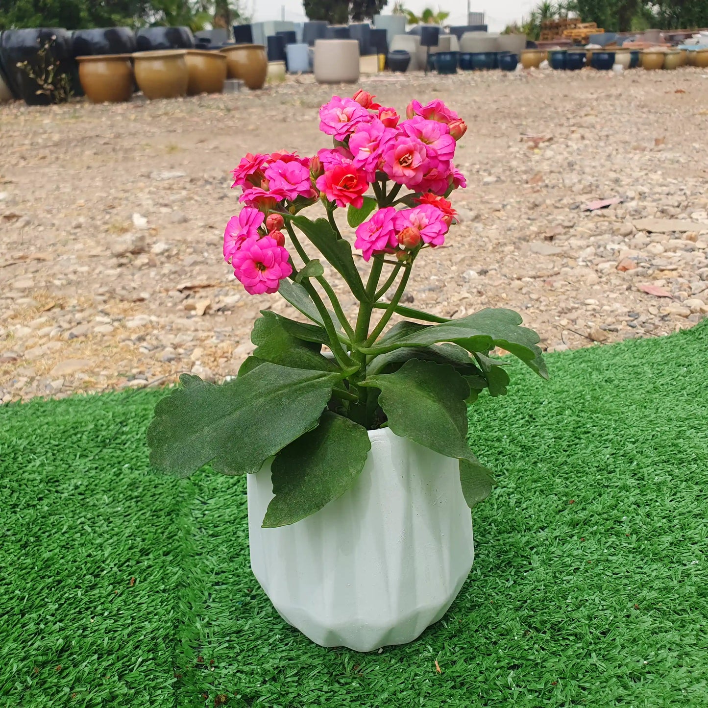 💎כד פסי יהלום