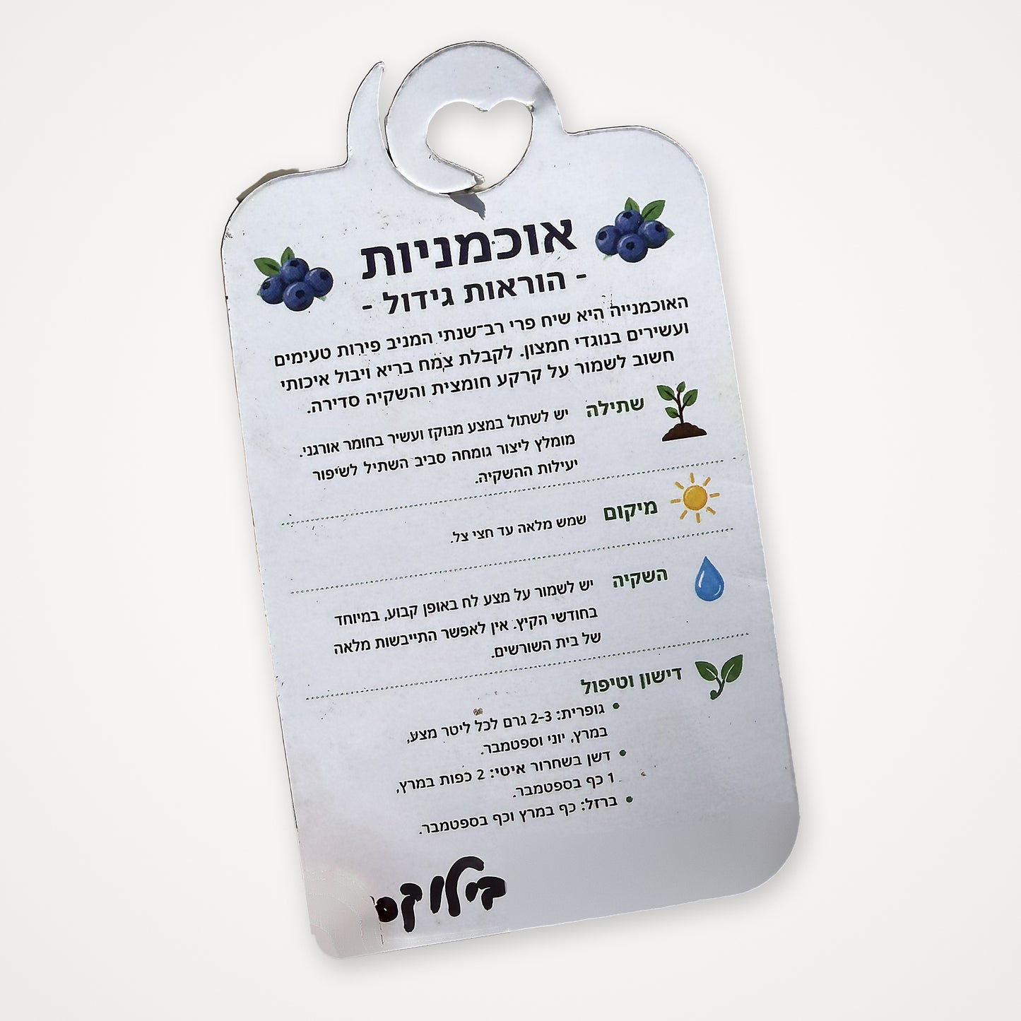 תווית הוראות גידול לשתיל אוכמניות בילוקסי - שתילה, מיקום, השקיה ודישון