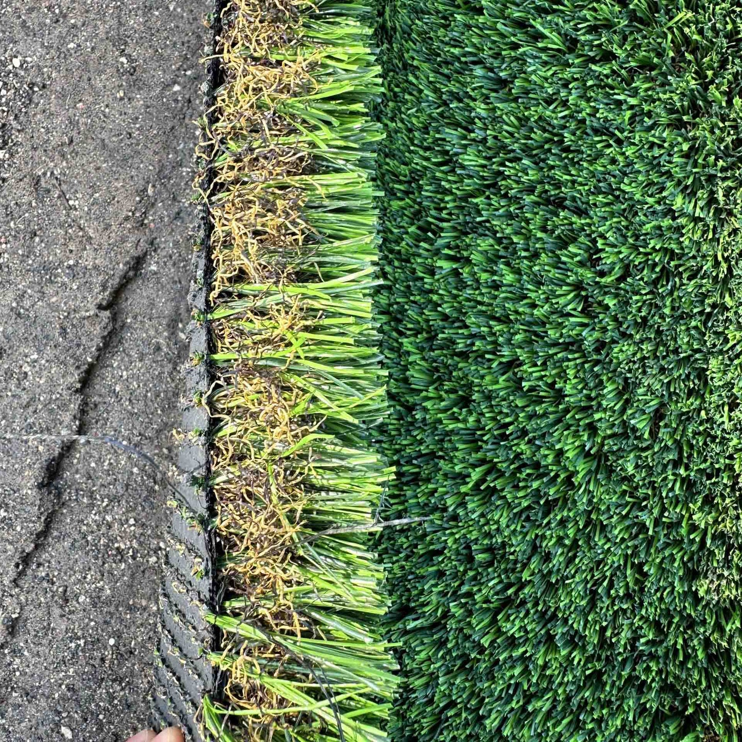 דשא סינטטי אולימפוס (3)