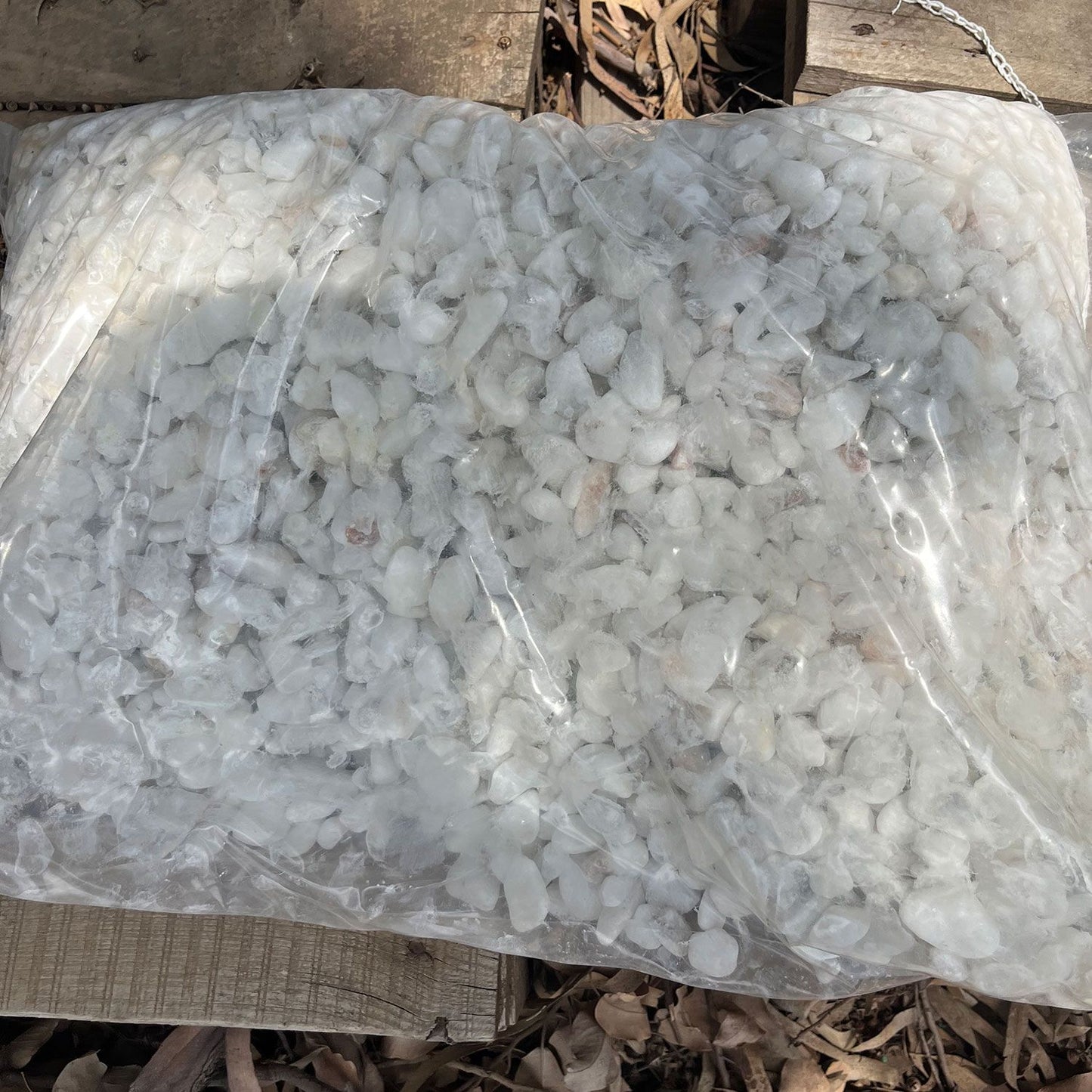 חלוקי-נחל-לבנים-קטנטנים-18-קילוגרם.-50-שקל-2