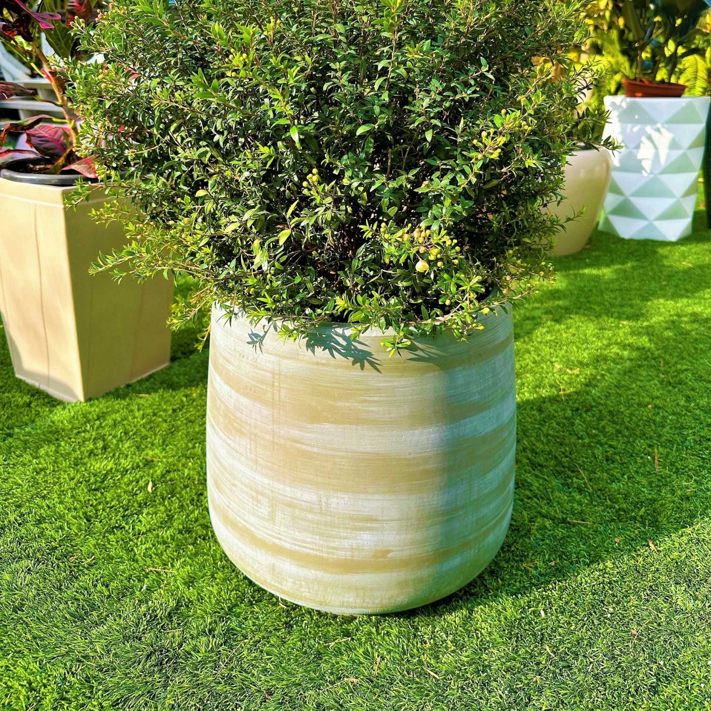 כד השמלה (אפור מחוספס)