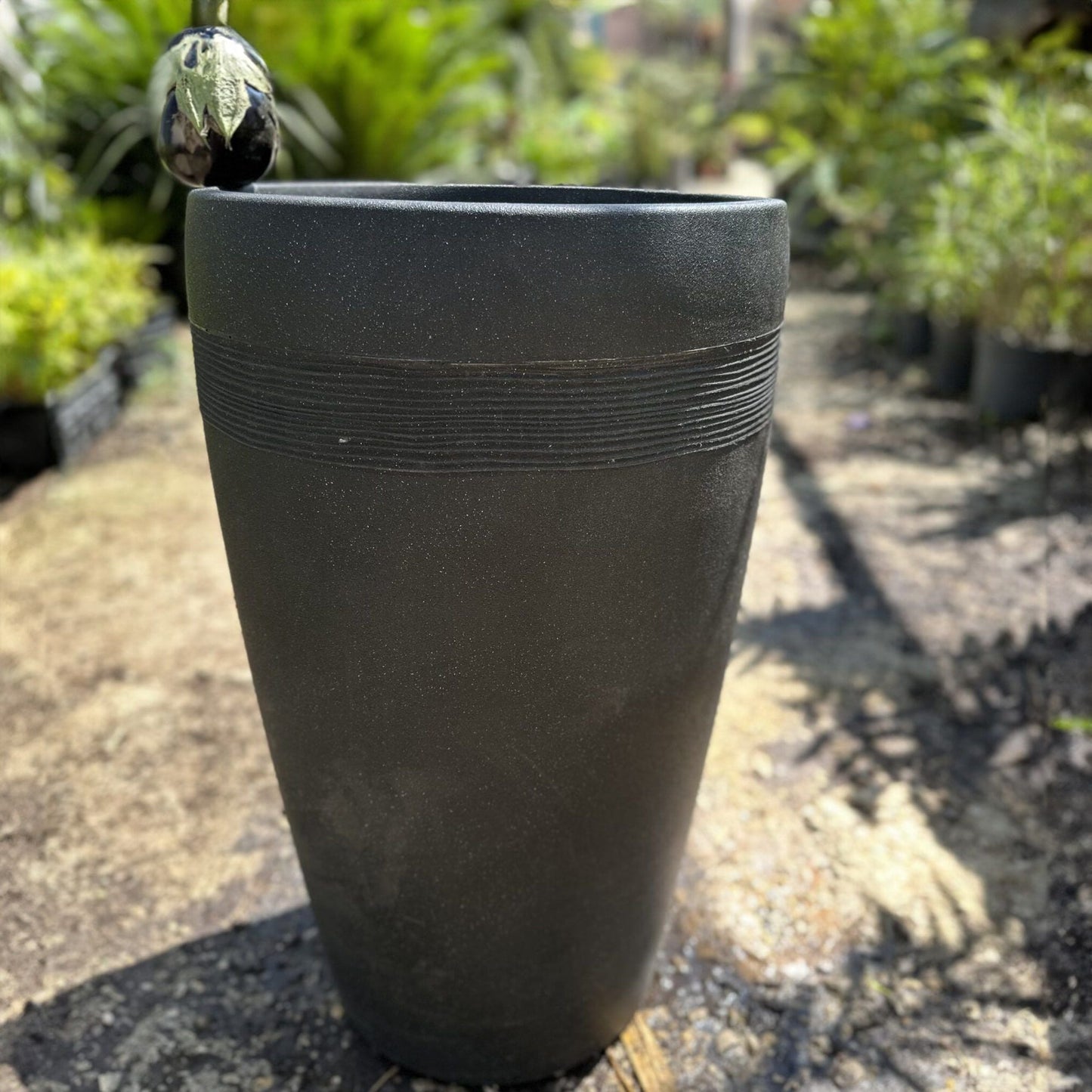 כד מפלסטיק קשיח בצבע שחור עם פסי חריטה באמצע