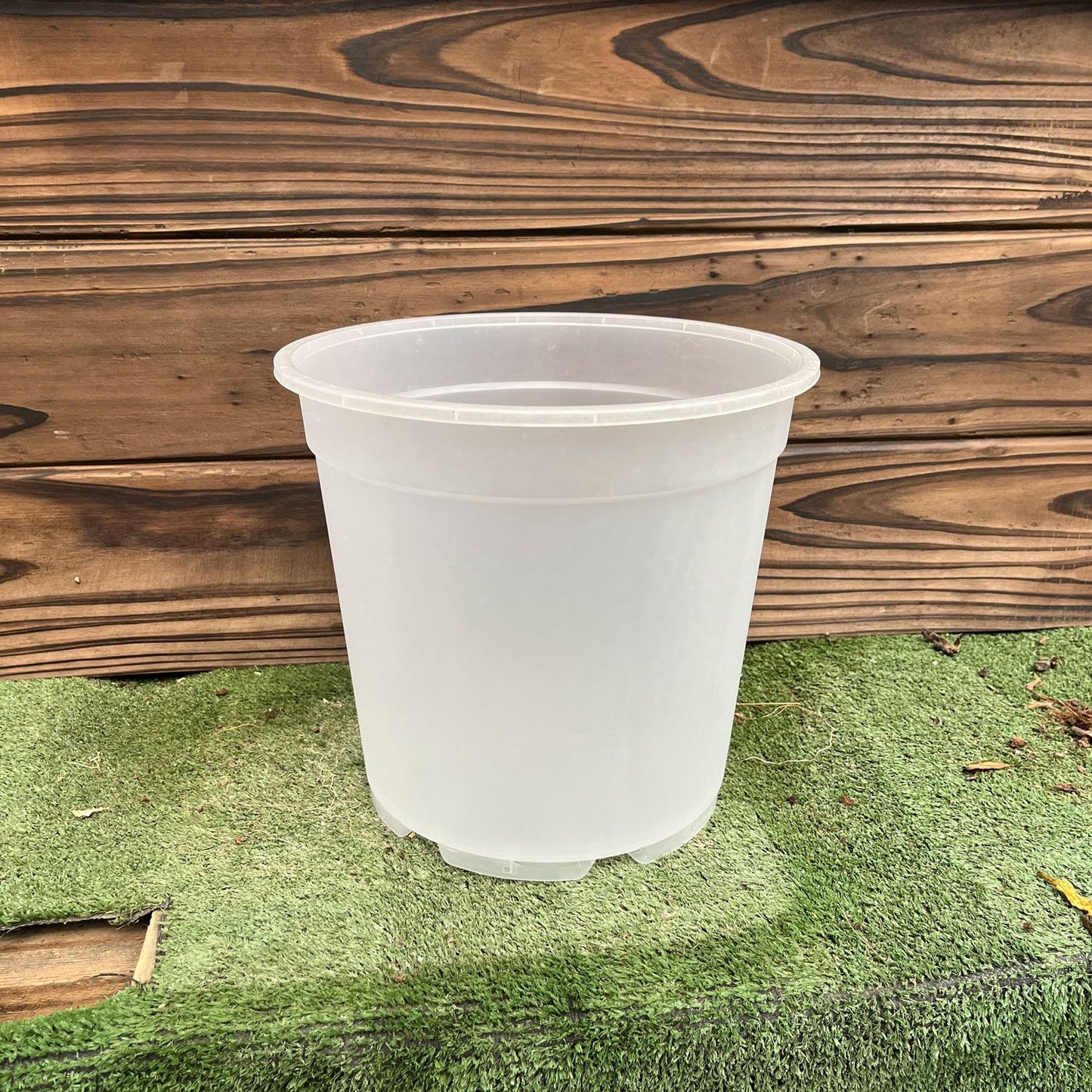 עציץ-לגידול-סחלבים