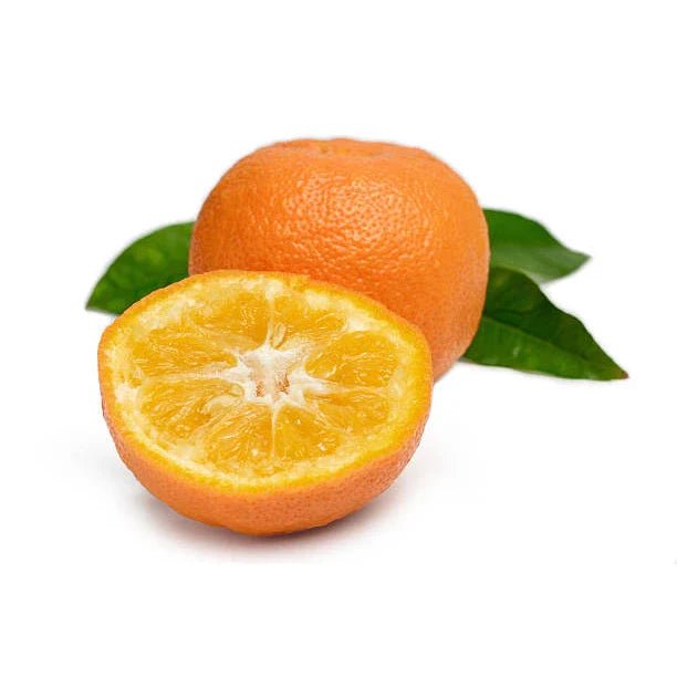 קלמנטינה-מיכל