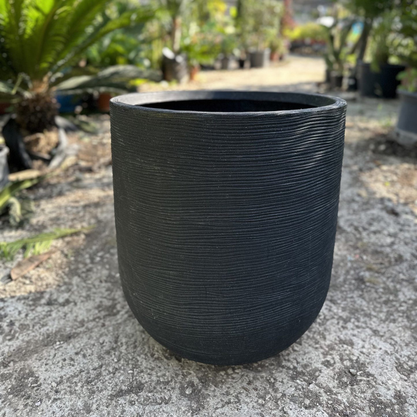 ืื ืคืืกืืืง ืืชืจ ืฉืืืจ ืจืื ืืืื ืงื ืืฉืงื 62 ืกืดื