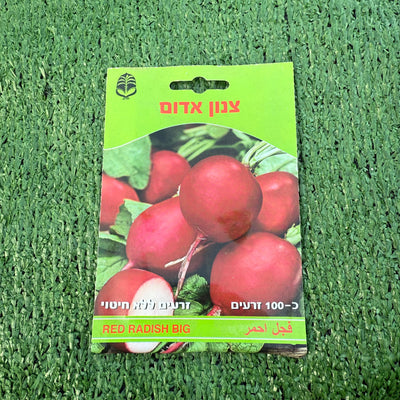 זרעים של צנון אדום