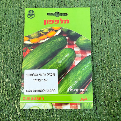 זרעים של מלפפון