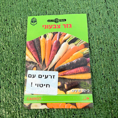 זרעים של גזר צבעוני