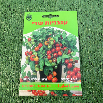 זרעים של עגבניות שרי