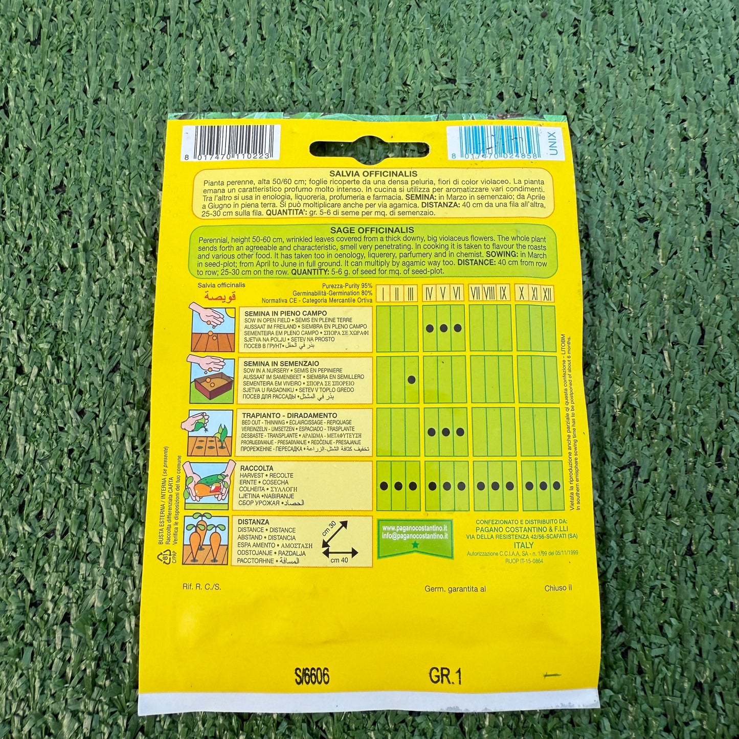 הוראות שימוש של חפיסה של זרעים של מרווה רפואית ברקע של דשא סינטטי ירוק