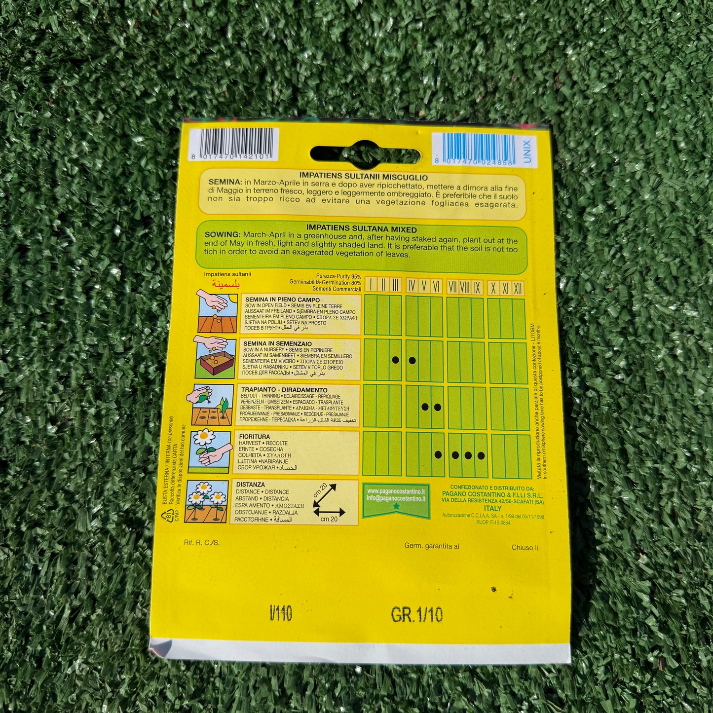 הוראות על החפיסה של זרעים של צמח בשמת