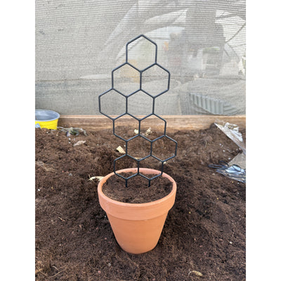 גדר פלסטיק שחורה למטפסים בדוגמת כוורת, 30×13 ס״מ, בהדגמת נעיצה בעציץ – דקו גרדן