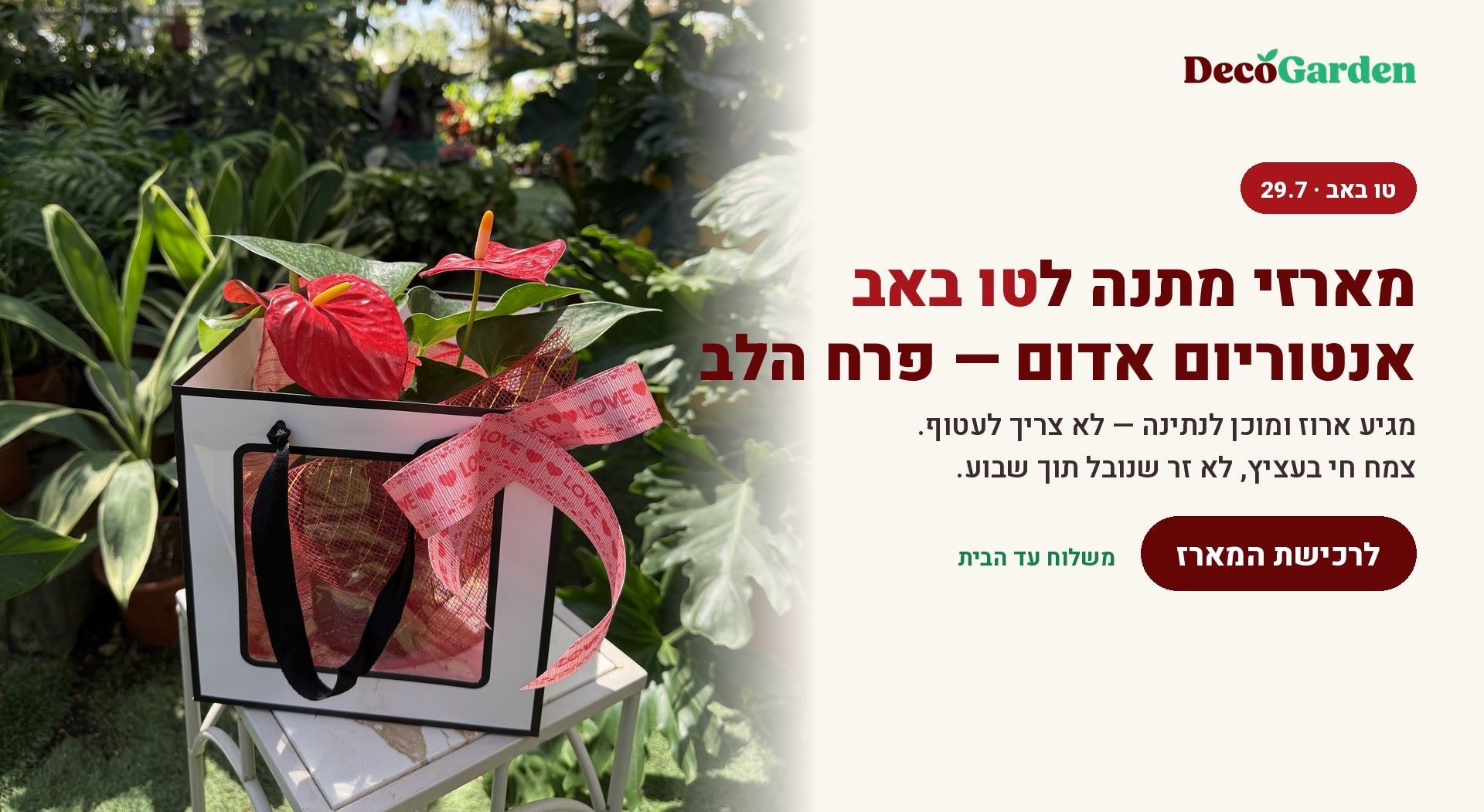 באנר טו באב — מארזי מתנה עם אנטוריום אדום דקו גרדן