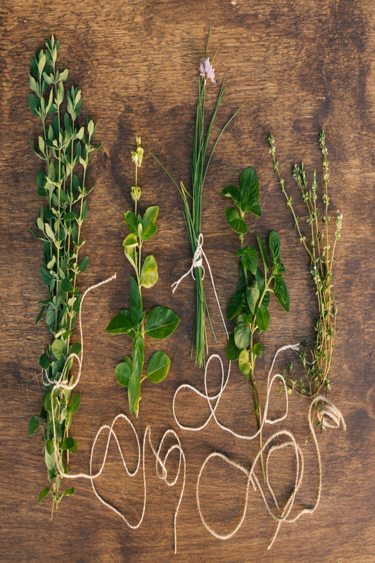 🌿 צמחי מרפא – בריאות שצומחת מהגינה