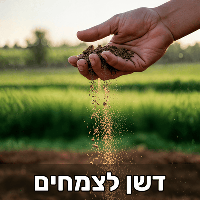 חומרי דישון