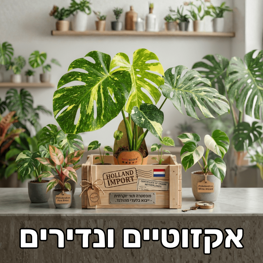 צמחים אקזוטיים ונדירים