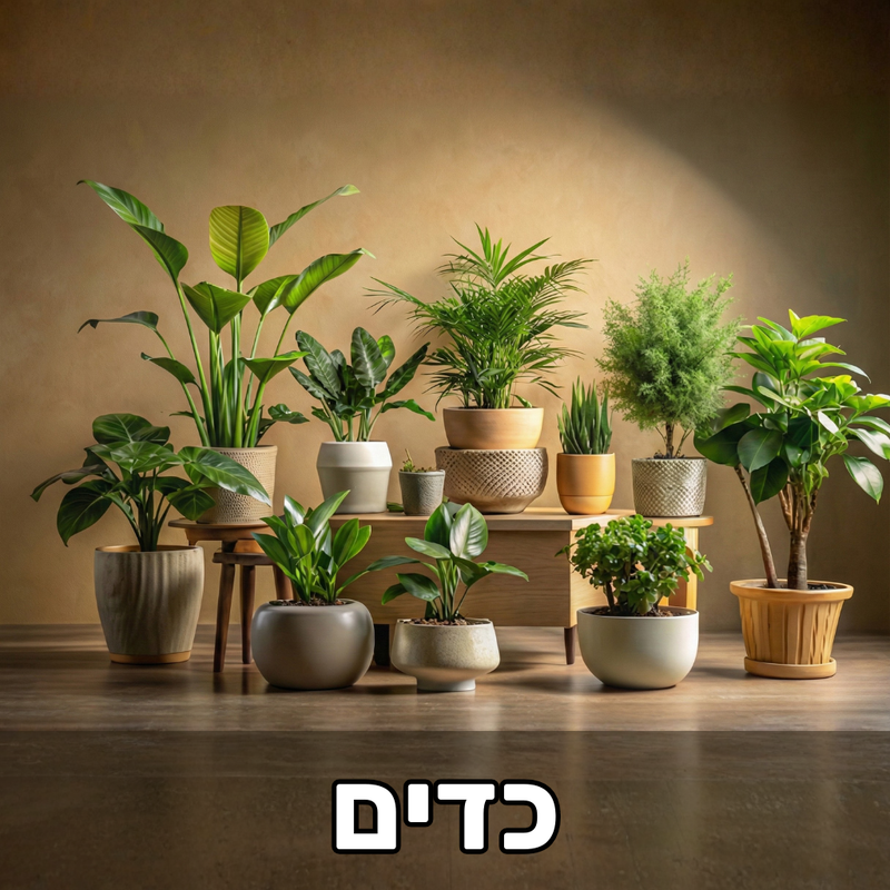 כדים ואדניות