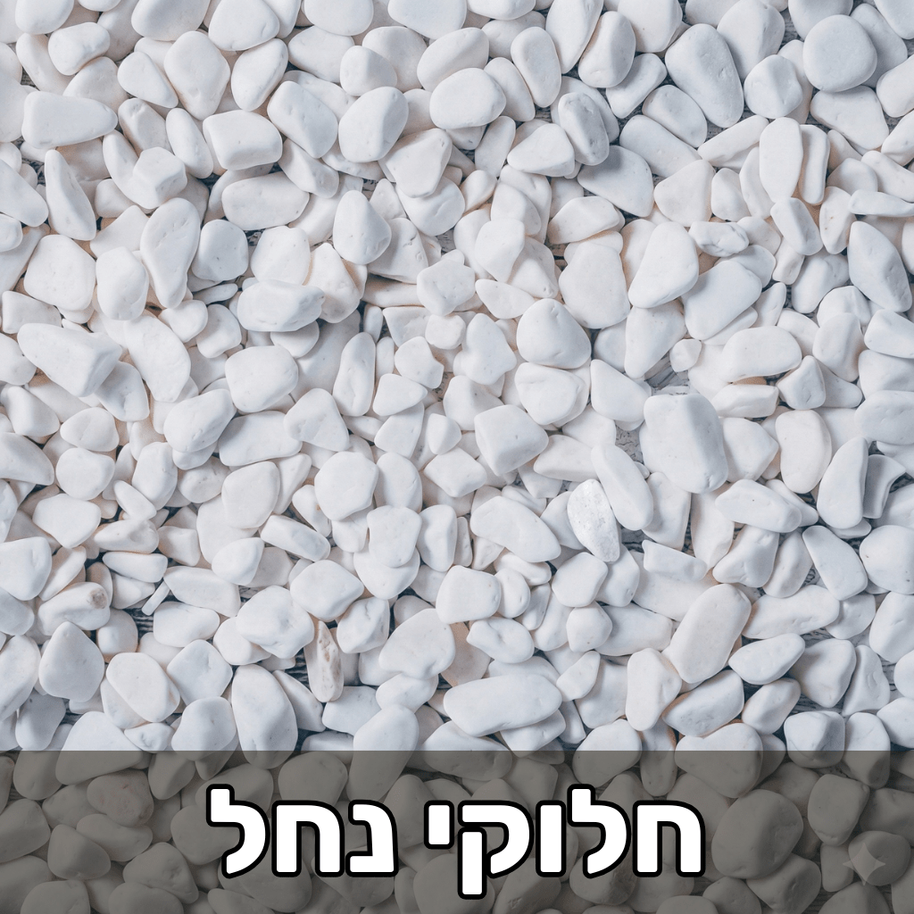 חלוקי נחל לבנים לגינה