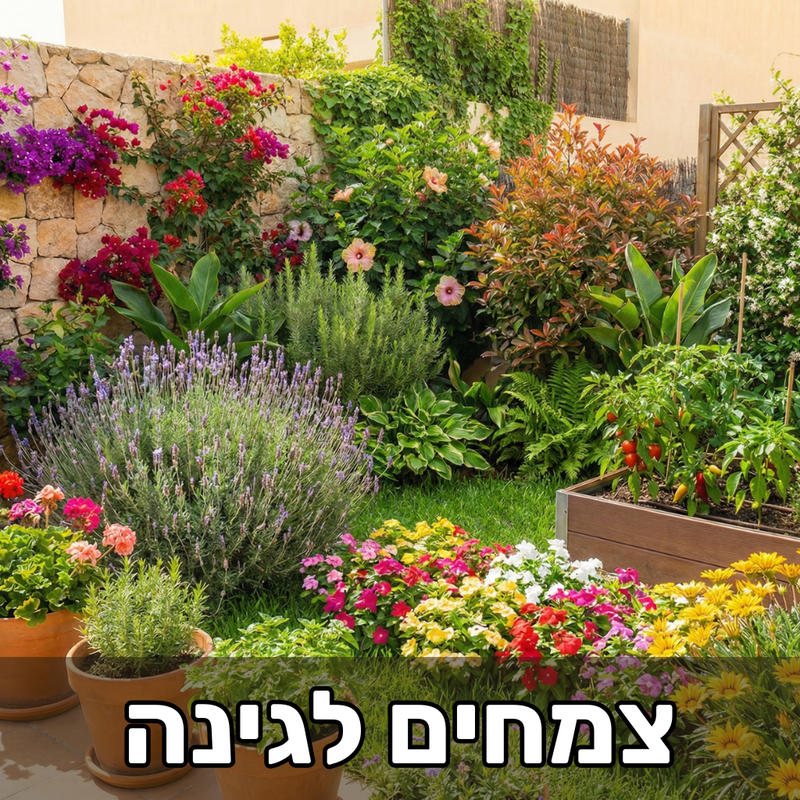 צמחים לגינה