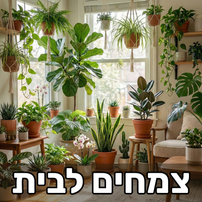 כל הצמחים לבית
