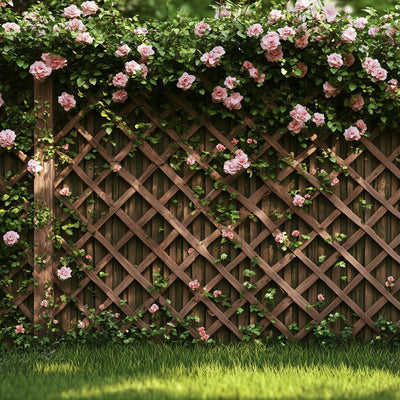 צמחים מטפסים