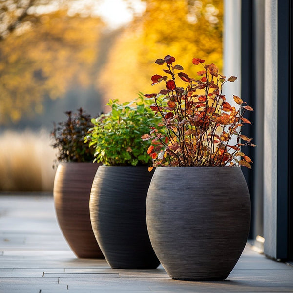 כדים מפלסטיק ברזילאי 🇧🇷