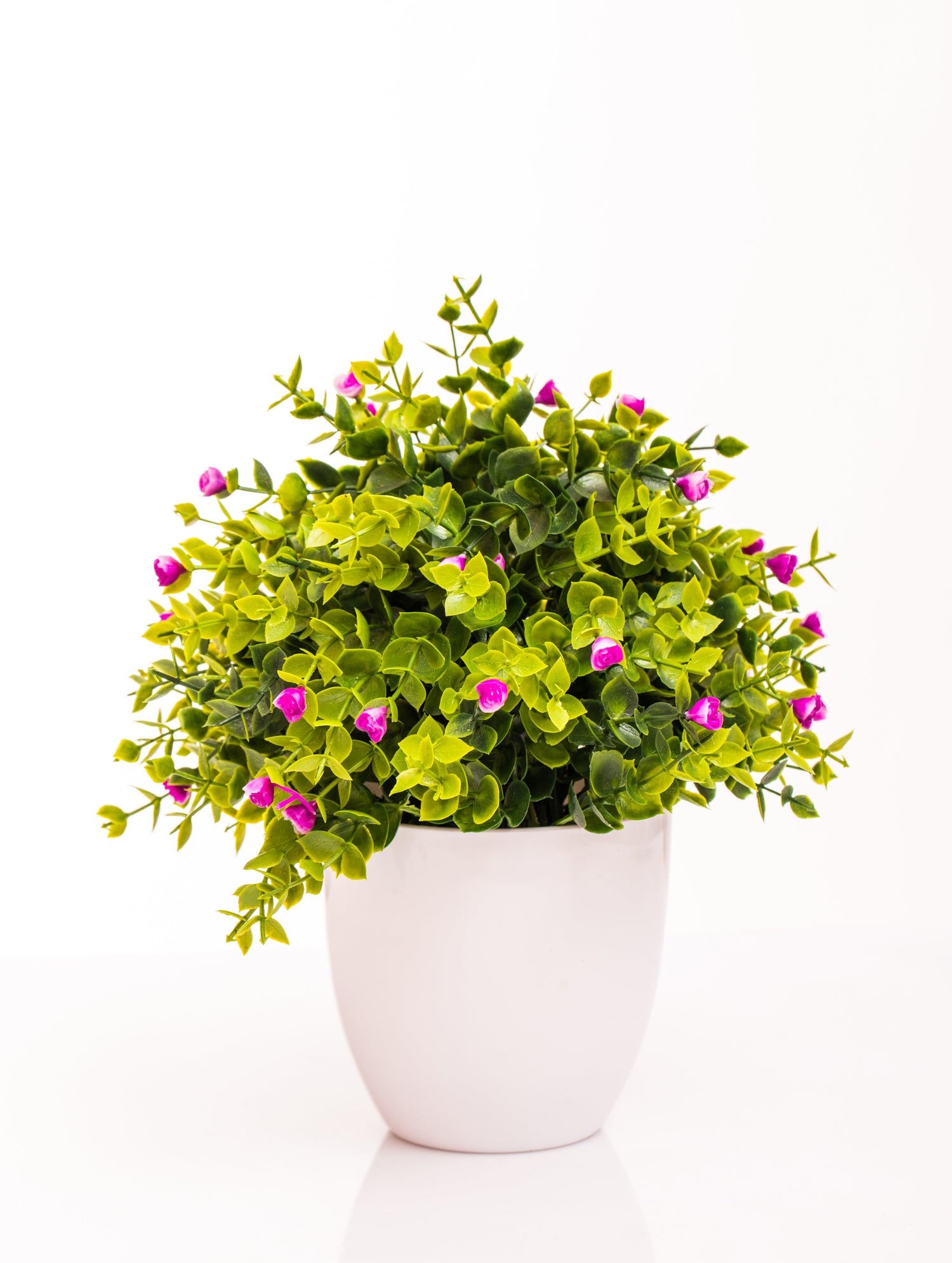 עציצים מלאכותיים