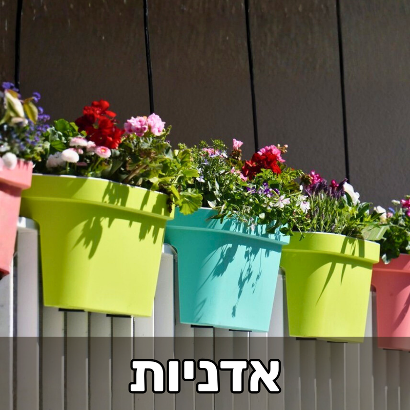 אדניות