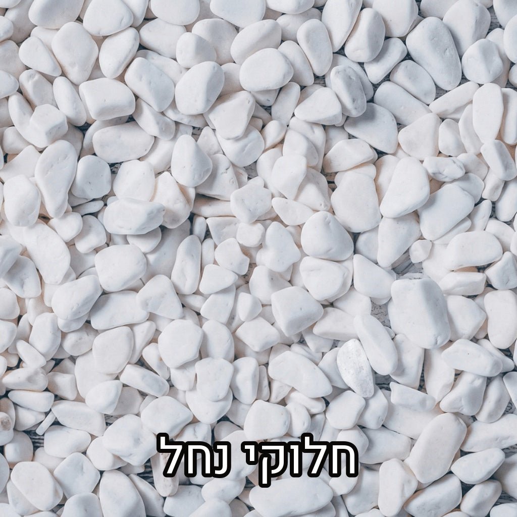 חלוקי נחל לבנים מפוזרים בשכבה צפופה, עם הכיתוב חלוקי נחל