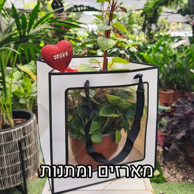 Boxes and gifts 