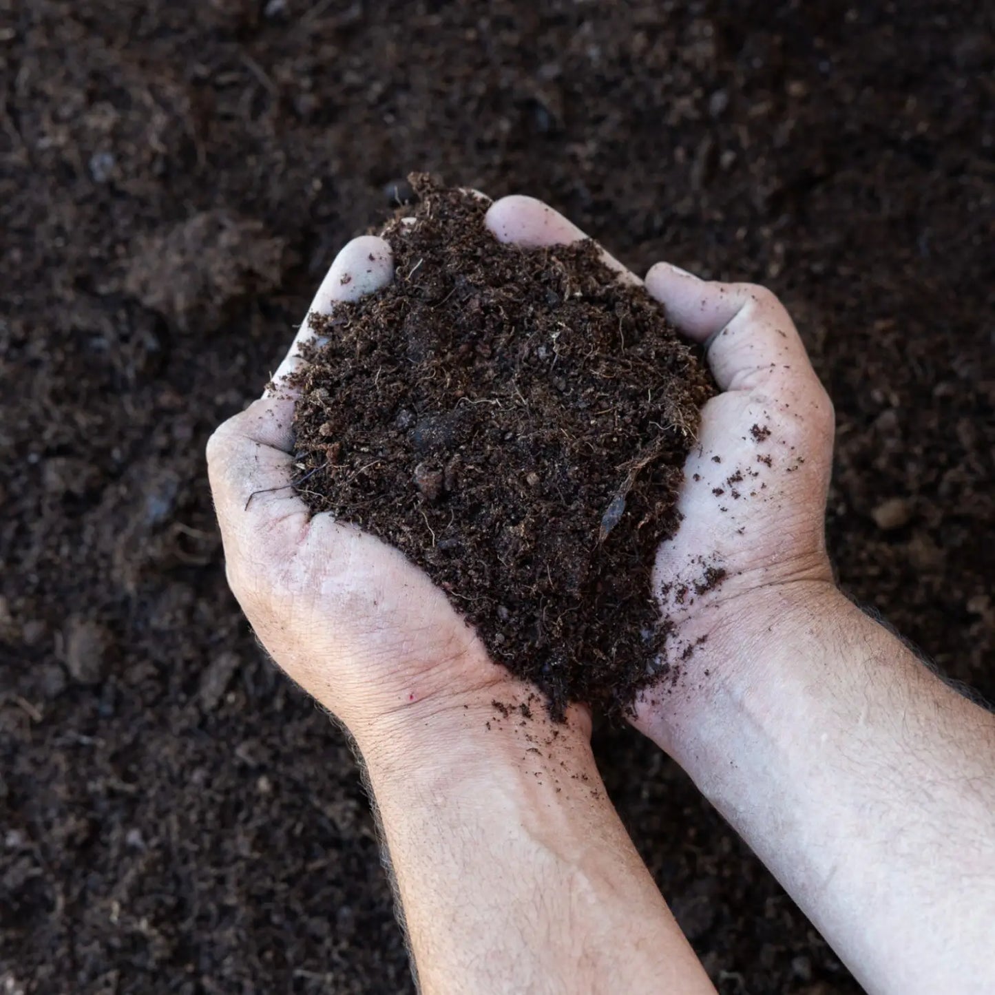 יד שמחזיקה תערובת אורגנית בלבד