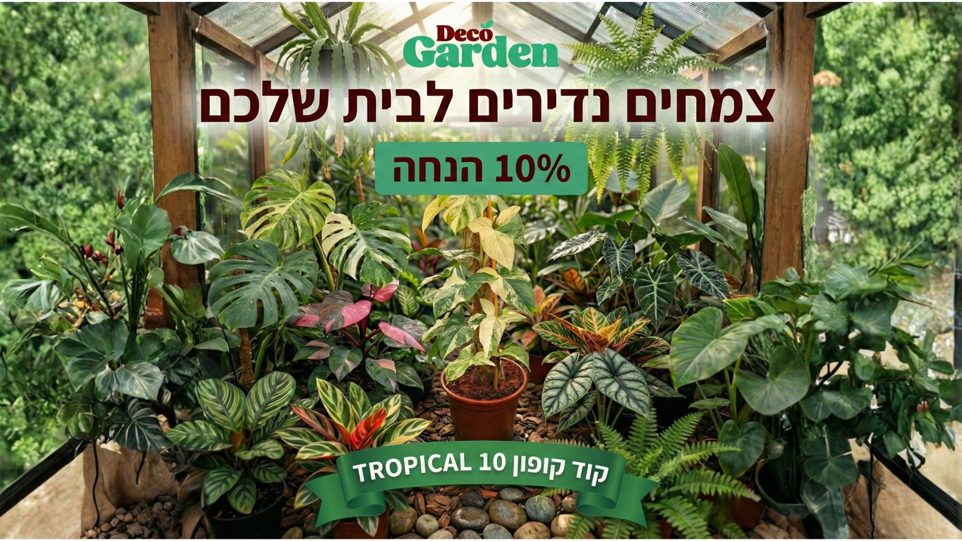 באנר של צמחים נדירים