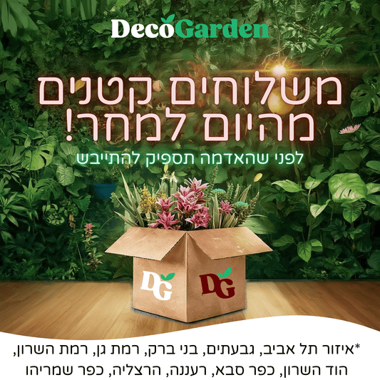 משלוח מהיום למחר!