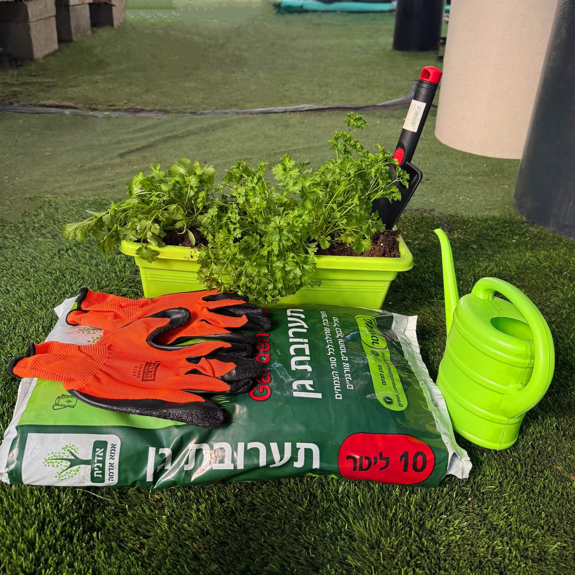 Gardening tools and supplies including gloves, seeds packet, trowel, and watering can on grass.