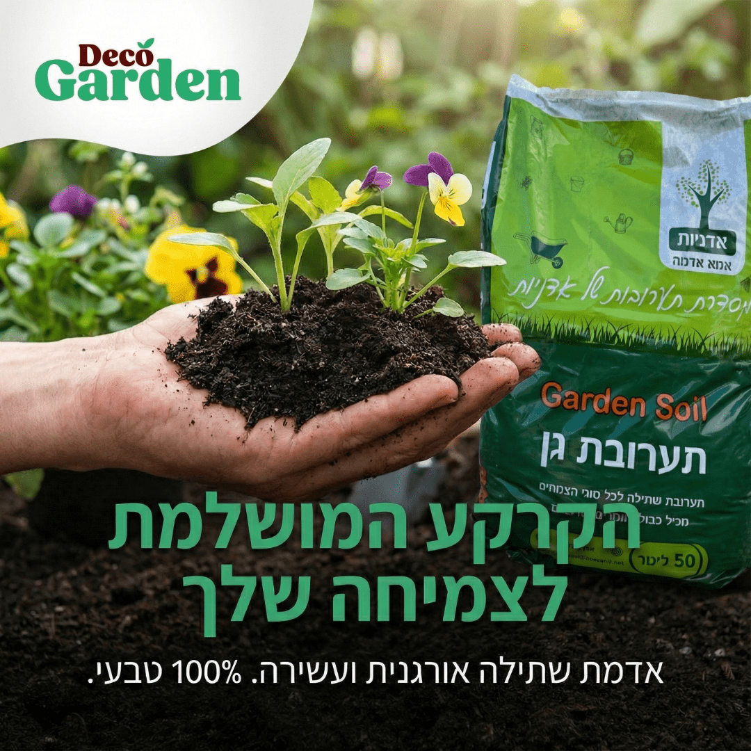 Hand holding garden soil with plants, Deco Garden product in the background