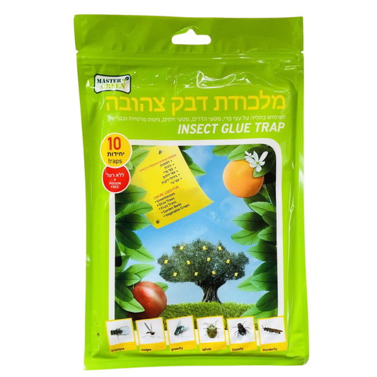 מלכודת דבק צהובה לחרקים