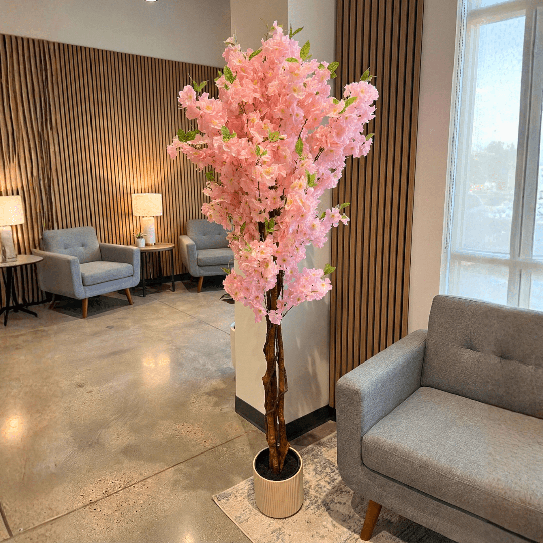 Pink flowering tree in a room with gray couches and lamps.
