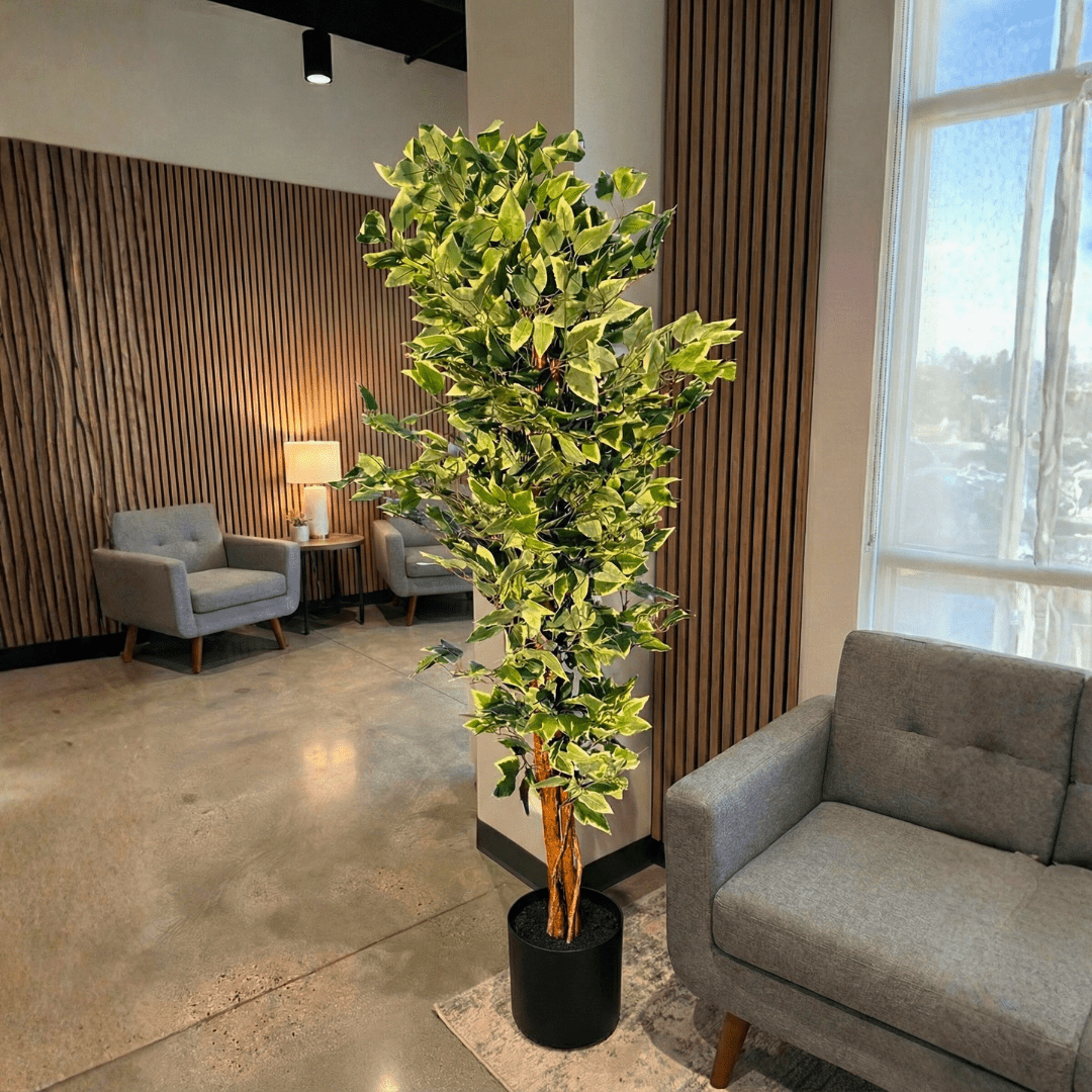 Decorative indoor plant in a modern office setting with gray furniture and large windows.