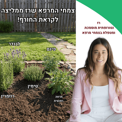 המארז של רז: 12 יחידות צמחי מרפא