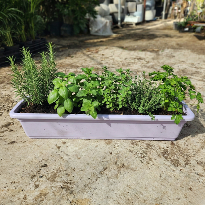 Пластиковый горшок для растений, белого цвета, ширина 20, длина 90, высота 20. 