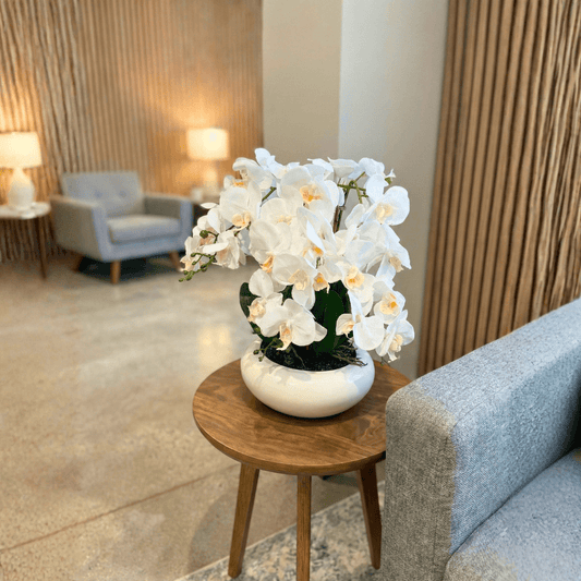 סחלב מלאכותי עם הרבה ענפים ופרחים לבנים עם צהוב באמצע בכד לבן דקורטיבי