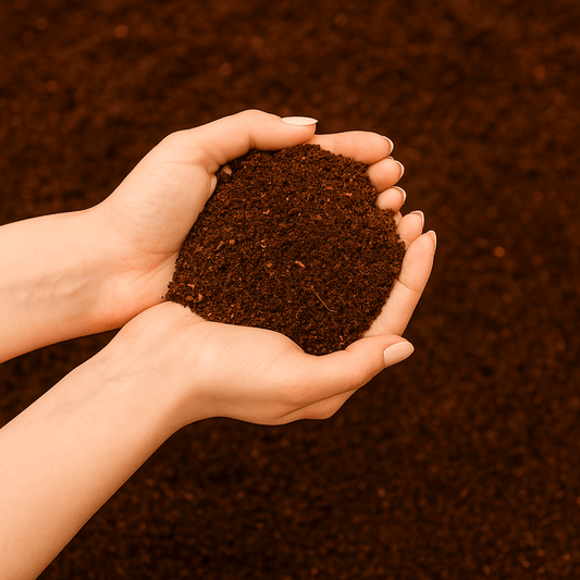 ידיים האוחזות בגוש אדמה חומה כהה על רקע תואם.