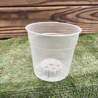 עציץ לגידול סחלבים קוטר 11.5 גובה 11 4 שקל