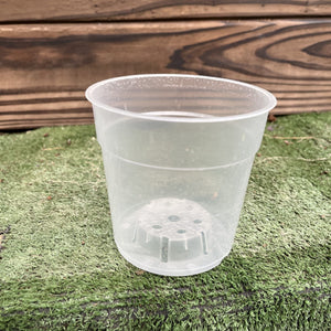 עציץ לגידול סחלבים קוטר 11.5 גובה 11 4 שקל